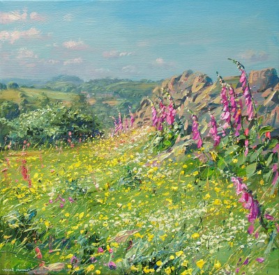 MARK PRESTON - foxgloves, ashleyhay